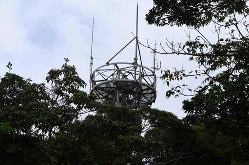 森の中の電波塔　沖縄県国頭村の写真