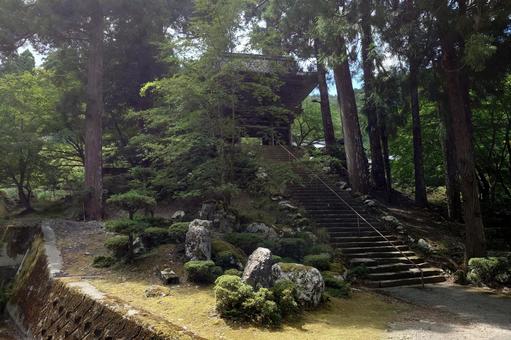 福井県-明通寺-山門と参道 福井県-明通寺-山門と参道の写真