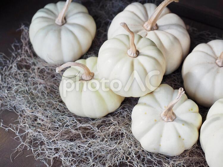 ハロウィンのデコレーション　その２ ハロウィン,白色,ホワイトの写真素材