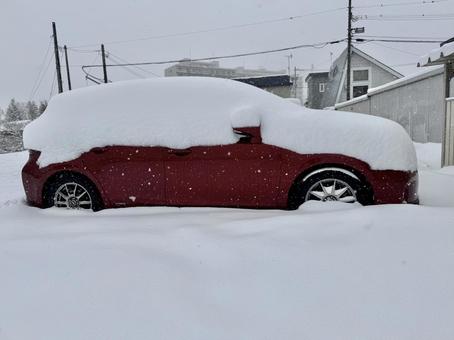 駐車場で雪に埋もれた車 車,乗用車,雪の写真素材