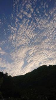 朝焼け 朝焼けの写真