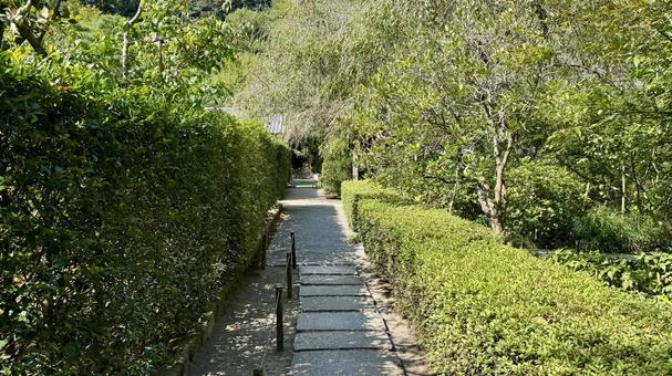庭園小道 庭園小道 明月院,寺社仏閣,庭の写真素材