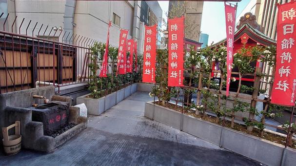 銀座八丁神社朝日稲荷神社 銀座八丁神社朝日稲荷神社 銀座八丁神社,朝日稲荷神社,神社の写真素材