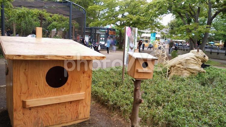 井の頭自然文化園　吉祥寺　東京 井の頭自然文化園,吉祥寺,東京の写真素材