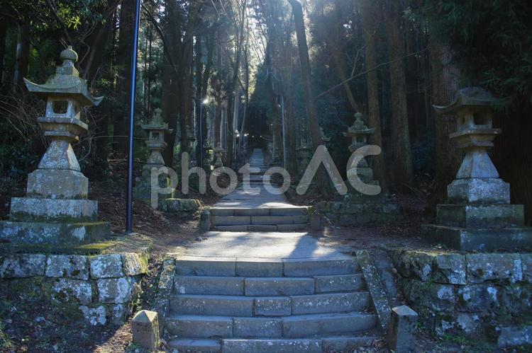 熊本県高森町　上色見熊野座神社　参道 上色見熊野座神社,神社,鳥居の写真素材