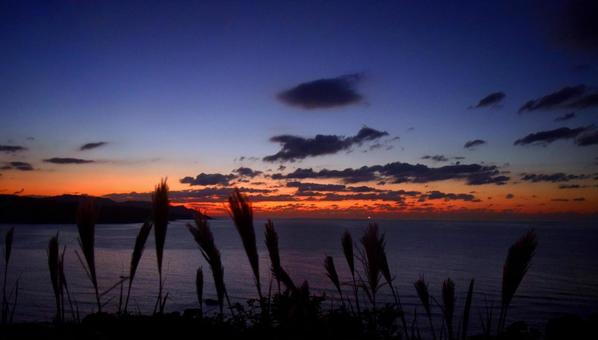 夕焼けとススキ 秋イメージ 夕焼けとススキ 秋イメージ ススキ,夕焼け,秋イメージの写真素材