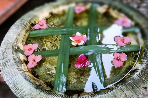 花と葉で飾られたリゾートの水鉢 水鉢,鉢,水盤の写真素材