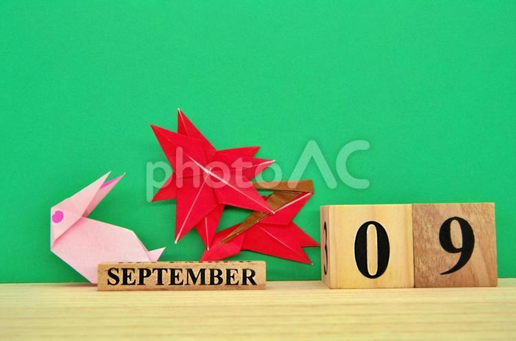 折り紙飾り月別【９月】 ９月,月,カレンダーの写真素材