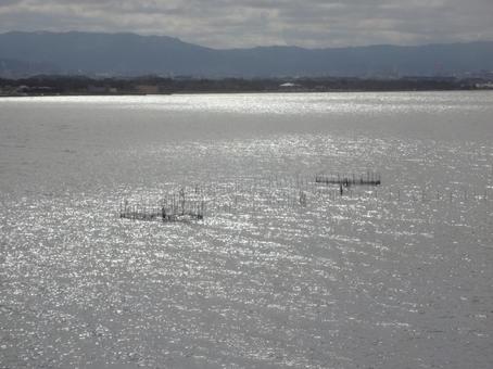 水面に浮かぶ伝統の技｜琵琶湖のエリ漁 琵琶湖,滋賀,関西の写真素材