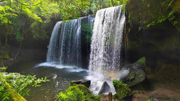 【熊本県】鍋ヶ滝 【熊本県】鍋ヶ滝 鍋ヶ滝,滝,川の写真素材