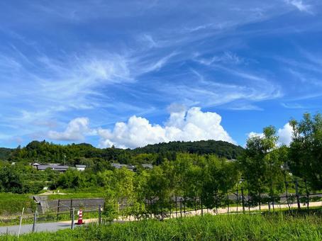 夏の風景 夏の風景の写真