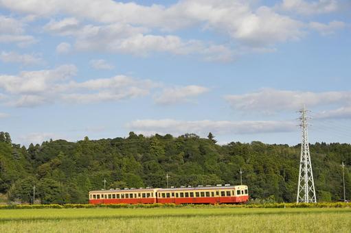 鉄道風景 小湊鉄道,ローカル鉄道,田んぼの写真素材