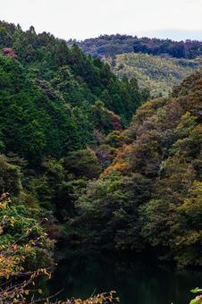 静かな湖 渓谷,森,湖の写真素材