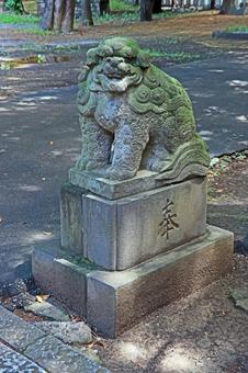 氷川町氷川神社(板橋) 氷川町氷川神社(板橋)の写真