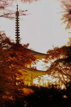 岡寺 岡寺,三重塔,紅葉の写真素材