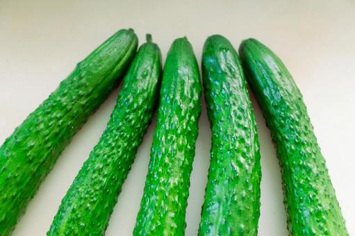 Five bumpy cucumbers nestled together, JPG