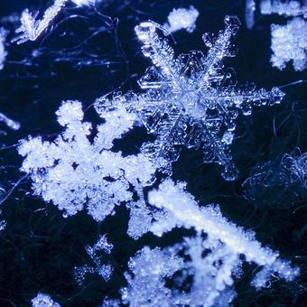 雪の結晶のマクロ撮影_正方形 雪,結晶,雪の結晶の写真素材