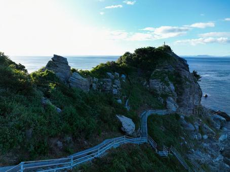 Photo, rhinophyma, cape, peninsula, 