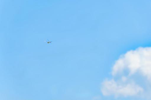 Dragonfly flying in the blue sky, JPG Dragonfly flying in the blue sky, JPG