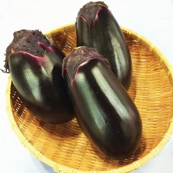 ナス ナスの写真