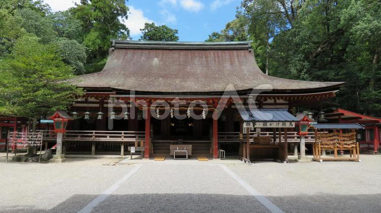 石上神宮　拝殿　国宝 石上神宮,石上神社,いわがみさんの写真素材