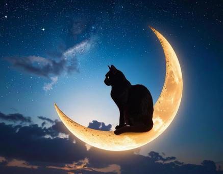 三日月の上に座っている黒猫 星空 三日月の上に座っている黒猫 星空の写真