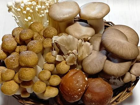 キノコ大集合 キノコ大集合 きのこ,茸,野菜の写真素材