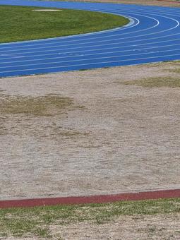 競技場 競技場 グラウンド,運動,芝生の写真素材