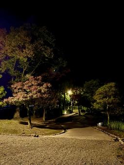秋の夜長　福井県紫式部公園 紫式部公園,福井県,庭園の写真素材