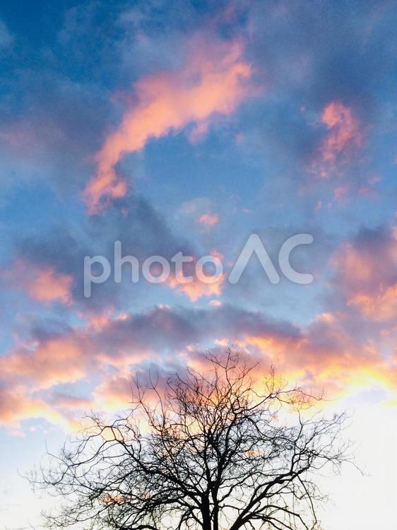 夕暮れ 夕暮れ,日没,夏の写真素材