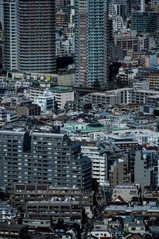 Photo, skyscraper, residential area, housing complex, 
