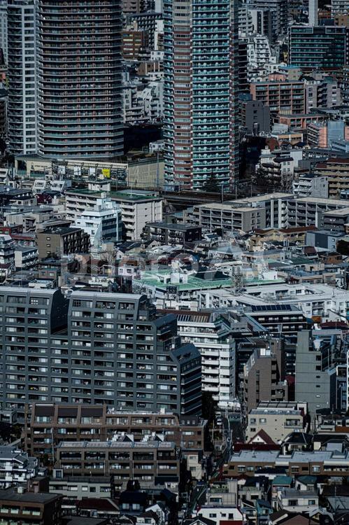 密集した住宅街と高層ビル 高層ビル,住宅街,集合住宅の写真素材