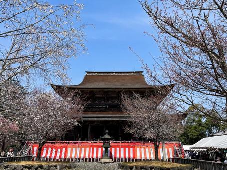 Photo, the scenery, landscape, nara, 