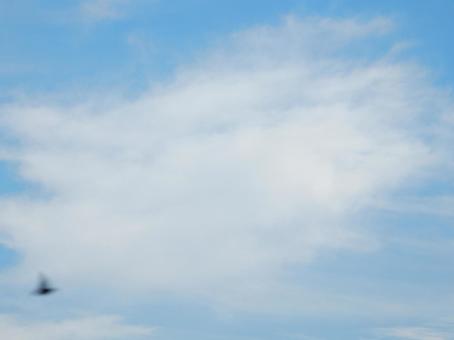 【空の写真】秋空 【空の写真】秋空の写真