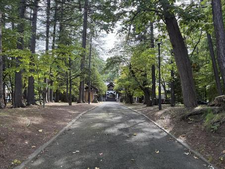 大谷地神社 神社,大谷地,札幌の写真素材