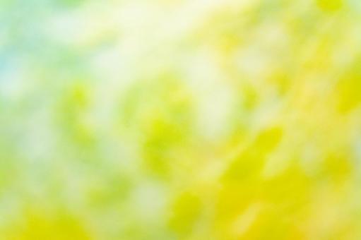 黄色と緑の柔らかな背景の写真