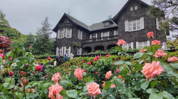 薔薇と洋館 薔薇と洋館 薔薇,バラ,薔薇園の写真素材
