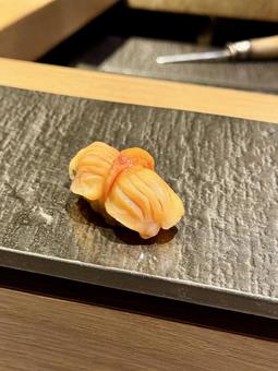 赤貝 赤貝の写真
