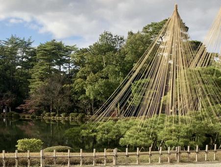庭園 庭園の写真