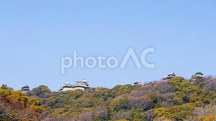 伊予松山城　本丸 伊予松山城,お城,天守の写真素材