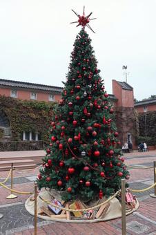 クリスマスツリー　アイビースクエア クリスマスツリー,アイビースクエア,倉敷の写真素材