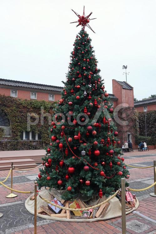クリスマスツリー　アイビースクエア クリスマスツリー,アイビースクエア,倉敷の写真素材