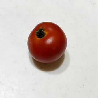 トマト 1個 トマト 1個の写真
