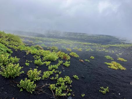 雲立ち込める富士山登山道 雲立ち込める富士山登山道 富士山,五合目,森林限界の写真素材
