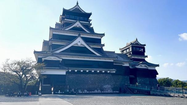 熊本城 熊本城,熊本,城の写真素材