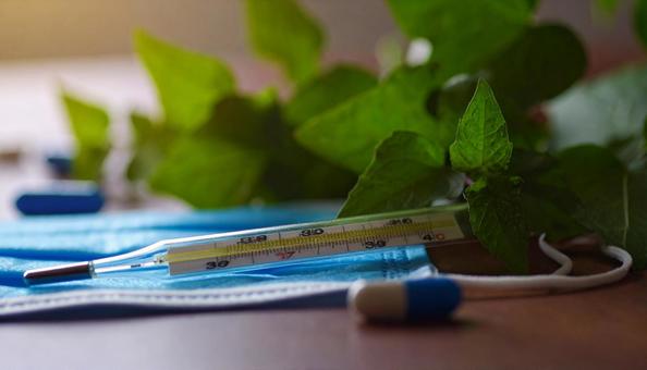 感染対策　マスクと体温計の写真