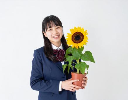 向日葵の鉢をもつ女子生徒の写真