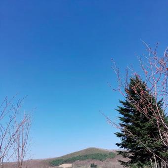 春の青空 春の青空の写真