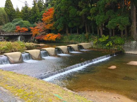 光市指定史跡　向山文庫周辺の風景 山口県,光市,指定史跡の写真素材