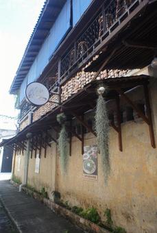 壁 壁 壁,モルタル,観葉植物の写真素材